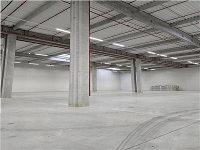 Spatiu Industrial, Clasa A, 4500 mp, Timisoara Ghiroda