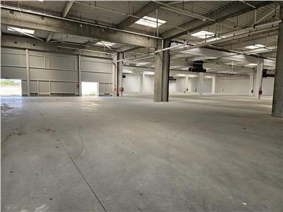 Industrial Space, Class A, from 2200 sq m to 9000 sq m, Arad