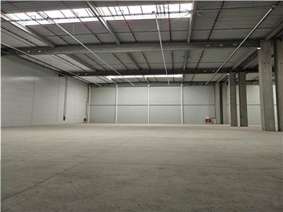 Industrial Space, Class A, 1800 sq m, Arad